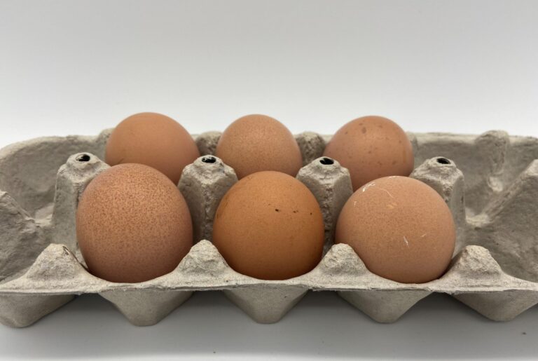 Brown-Egger™-1-scaled-1-1