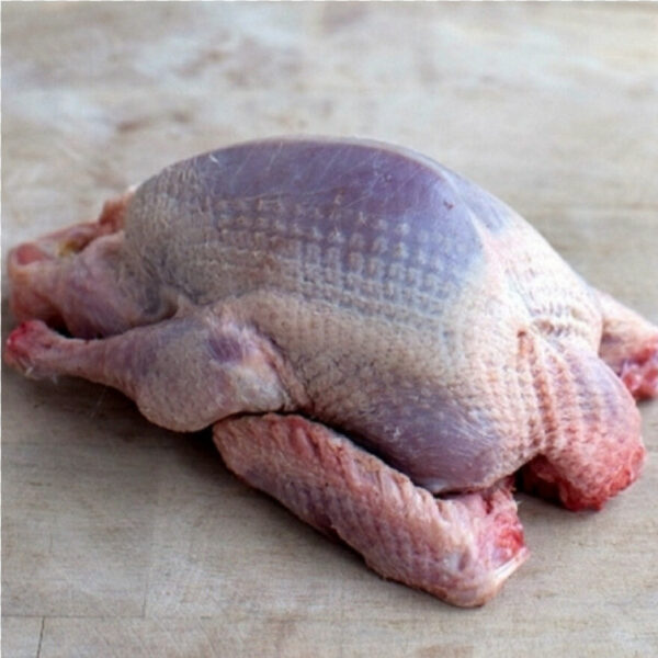 guinea fowl meat