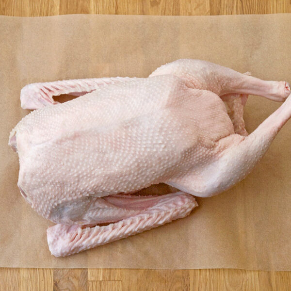Game Fowl
