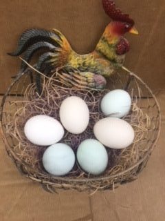 bantam_eggs_3-rotated-e1592857941330-1